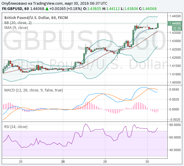 Binary Options Signals